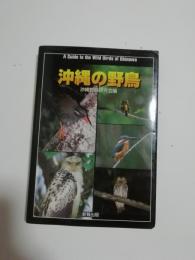 沖縄の野鳥
