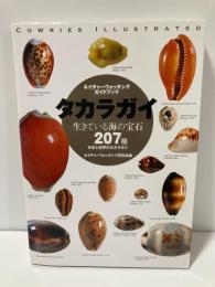 タカラガイ 生きている海の宝石