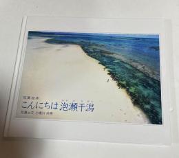 こんにちは泡瀬干潟