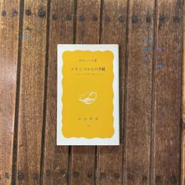 メキシコからの手紙 インディヘナのなかで考えたこと　岩波新書