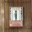 文壇アイドル論