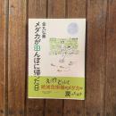 メダカが田んぼに帰った日