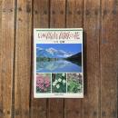 信州高山高原の花