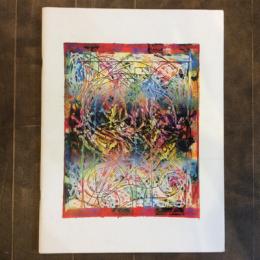 Frank Stella　The Circuits Prints