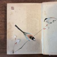 鳥と藝術