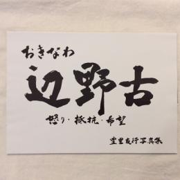 ［新刊書］おきなわ　辺野古　怒り・抵抗・希望　豊里友行写真集