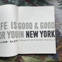 New York　Life is Good and Good For You in New York　Trance Witness Revels