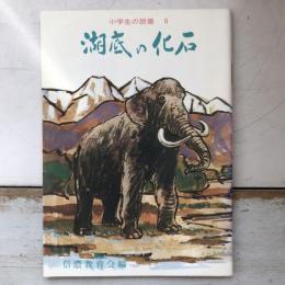 小学生の読書6　湖底の化石