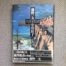 天使の緊縛　藤野一友＝中川彩子作品集