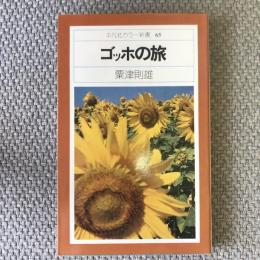 平凡社カラー新書65　ゴッホの旅　