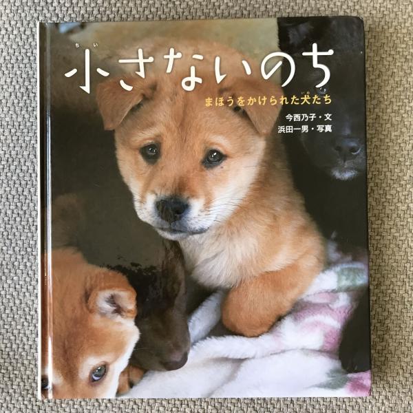 小さないのち まほうをかけられた犬たち(今西乃子) / 言事堂 / 古本