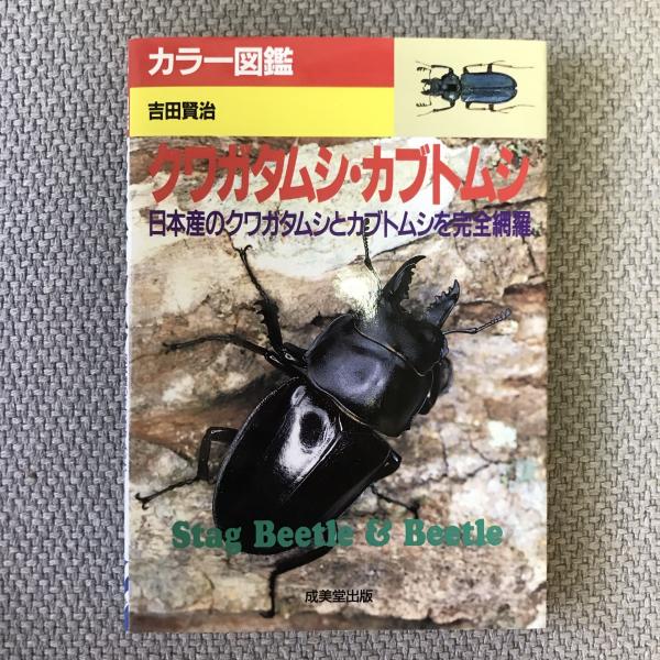 カラー図鑑 クワガタムシ・カブトムシ 日本産のクワガタムシと