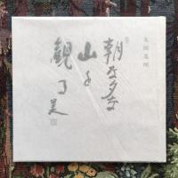 太田美明　朝な夕な山を観る