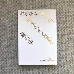 思い川　枯木のある風景　蔵の中　講談社文芸文庫