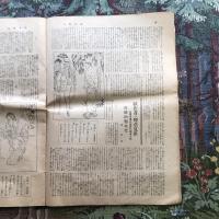 週刊朝日　第十巻　第七号　膳上凉味