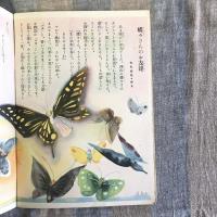 コドモノクニ　第十二巻　第九號　８月　童話號
