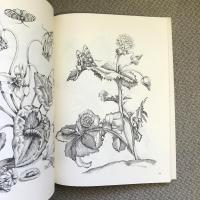FLOWERS, BUTTERFLIES AND INSECTS　All 154 Engravings from “Erucarum Ortus”