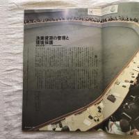 季刊ダジアン　No.9　 SUMMER ISSUE　1993　特集　魚