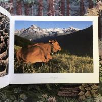 Haute Maurienne Vanoise Terre de lumières et de légendes
