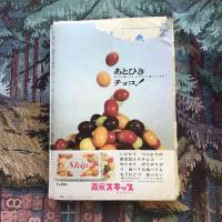 りぼん　春休み大増刊 第十巻第六号
