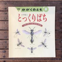 月刊 かがくのとも 通巻246号 とっくりばち どろで すを つくる はちの なかま