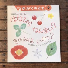 月刊かがくのとも1991年9月 通巻279号　はなびらなんまい？きみのはいくつ？ はっぱやえだもかぞえましょ