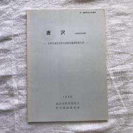 唐沢 KARASAWA 長野県諏訪市唐沢遺跡発掘調査報告書