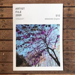 アーティスト・ファイル2009 現代の作家たち 010 Hirakawa Shigeko 平川滋子