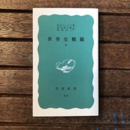 世界史概観 下　岩波新書