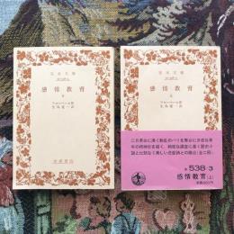 感情教育 上下揃　岩波文庫