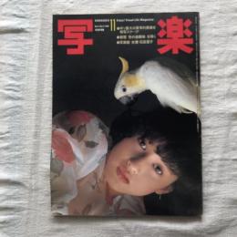 写楽 vol.3  no.11  1982年11月号  中ソ最大の軍事的要衝を特写スクープ！ 新宿 「性の遊園地」を覗く 写楽館/女優・石田夏子