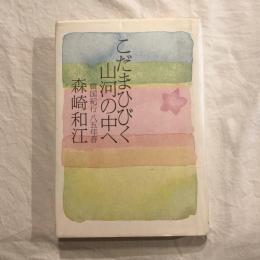 こだまひびく山河の中へ 韓国紀行 八五年春