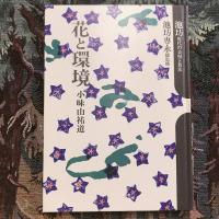 池坊 現代の表現と技法 花と環境