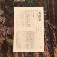 日本の歴史19　文明としての江戸システム