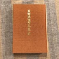 長野県文学全集 第三期 現代作家編 第4巻  小説編