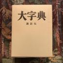 大字典 普及版