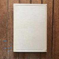 呪の信仰　心理學叢書第三巻