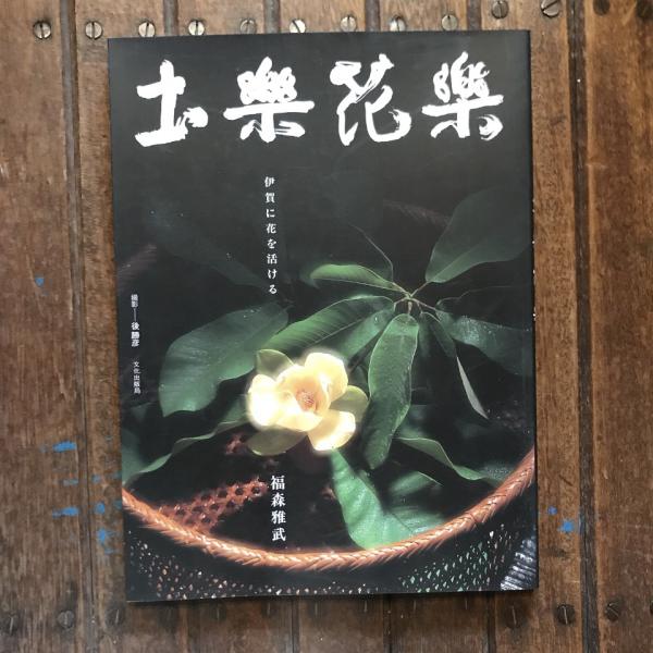 土花 福森雅武 | 福森雅武 土楽窯 : 雅造磁器輪花皿・土楽・福森雅武