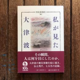 私が見た大津波