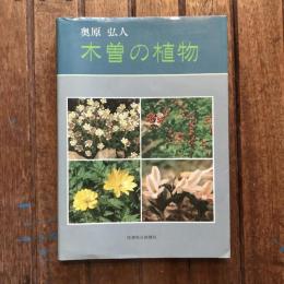 木曽の植物