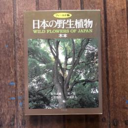 フィールド版 日本の野生植物 木本