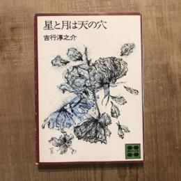 星と月は天の穴　講談社文庫