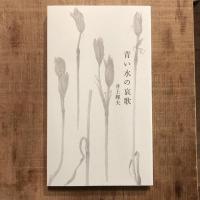 青い水の哀歌