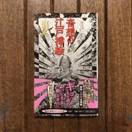 奇想の江戸挿絵　集英社新書ヴィジュアル版