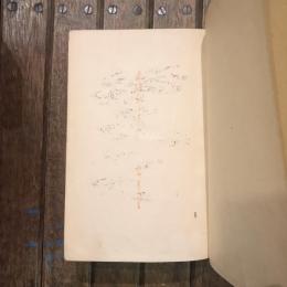 九條武子夫人
