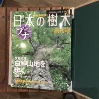 週刊 日本の樹木 全30冊＋別冊揃