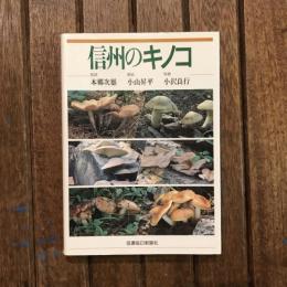 信州のキノコ