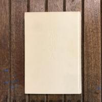純文学書下ろし特別作品 路上の人