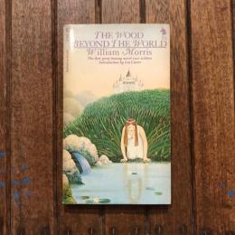 The wood beyond the world