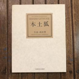 本土狐